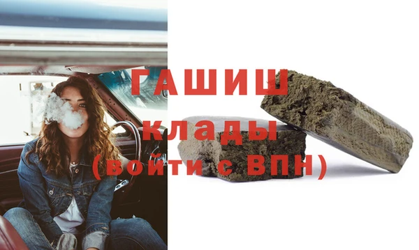 МДПВ Бородино