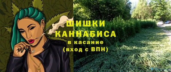 МДПВ Бородино