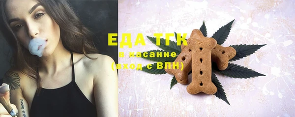 МДПВ Бородино