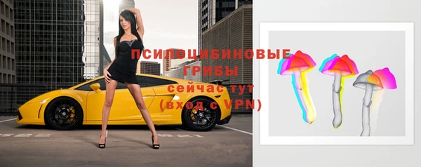 ECSTASY Михайлов