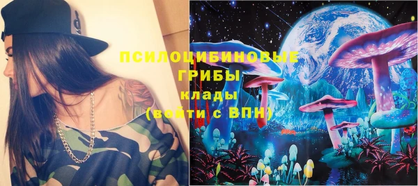 МДПВ Бородино