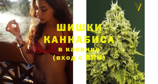 МДПВ Бородино