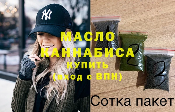 МДПВ Бородино