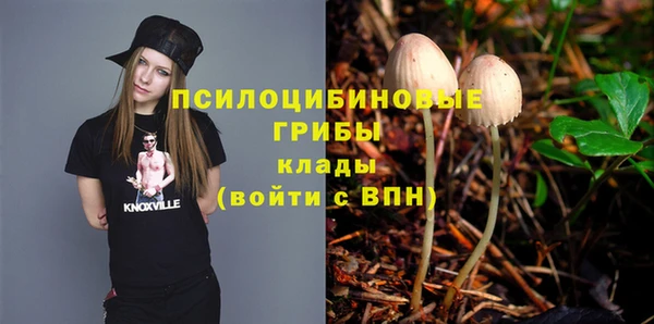 ГАЛЛЮЦИНОГЕННЫЕ ГРИБЫ Михайловск
