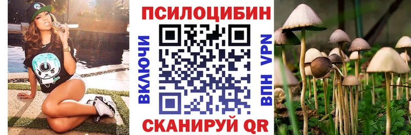 Галлюциногенные грибы GOLDEN TEACHER  закладка  Северобайкальск 