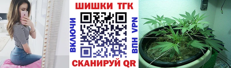 MEGA маркетплейс  Северобайкальск  Бошки марихуана сатива 